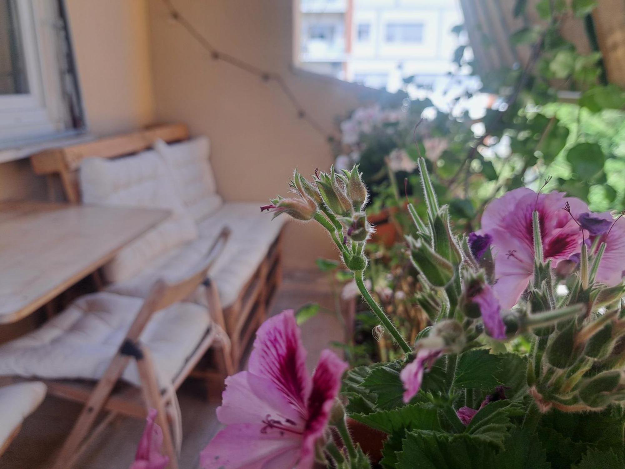 Eco B&B Marela Рим Экстерьер фото